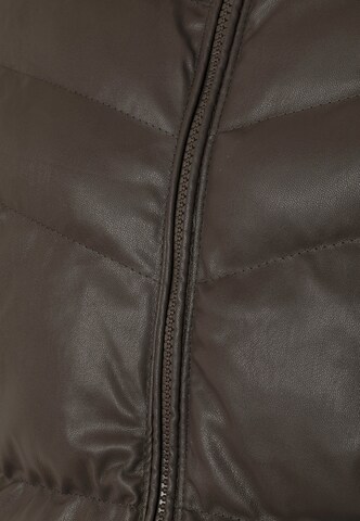 Veste d’hiver Jimmy Sanders en marron