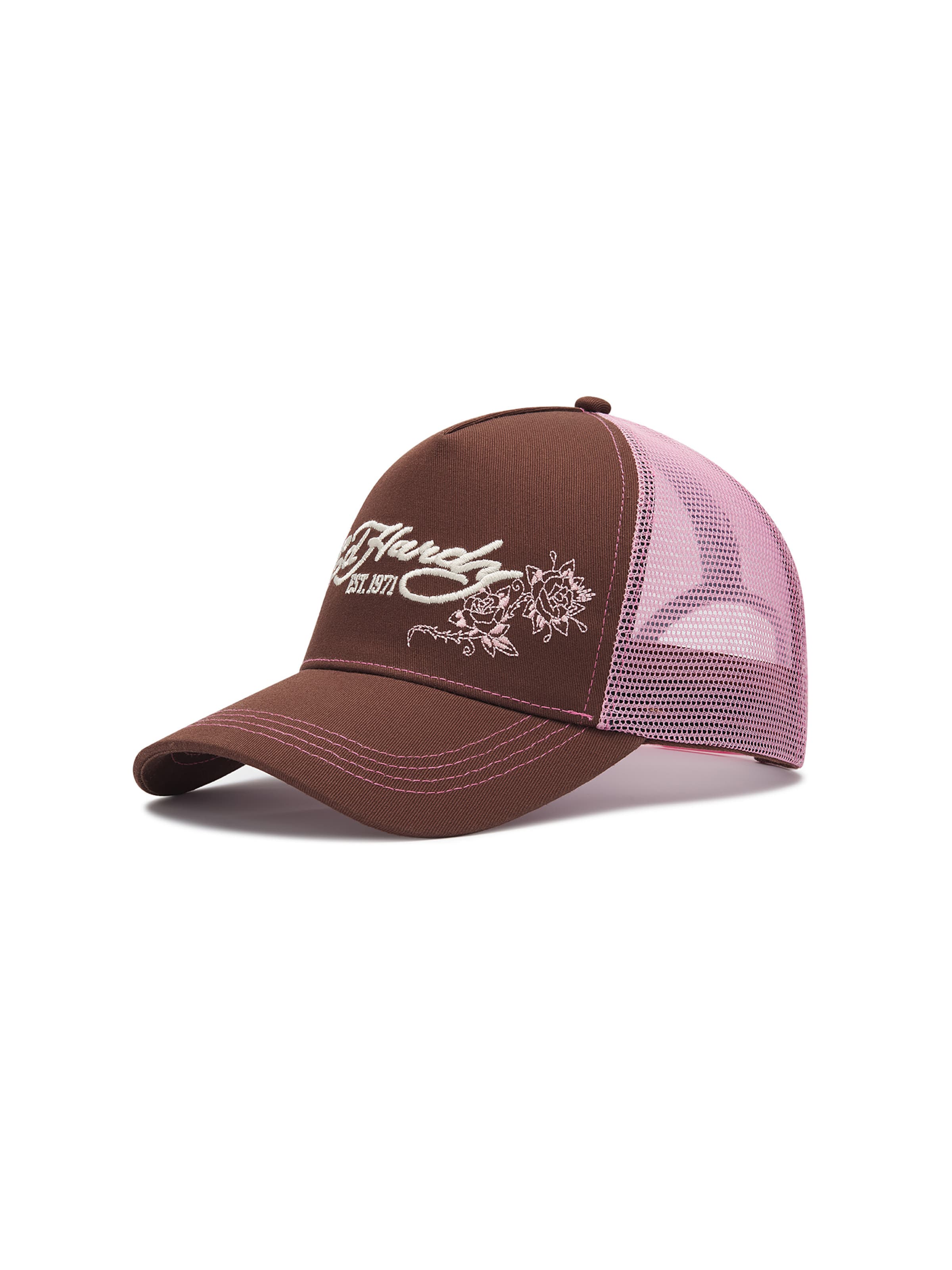 Cappello da baseball di Ed Hardy in marrone: frontale