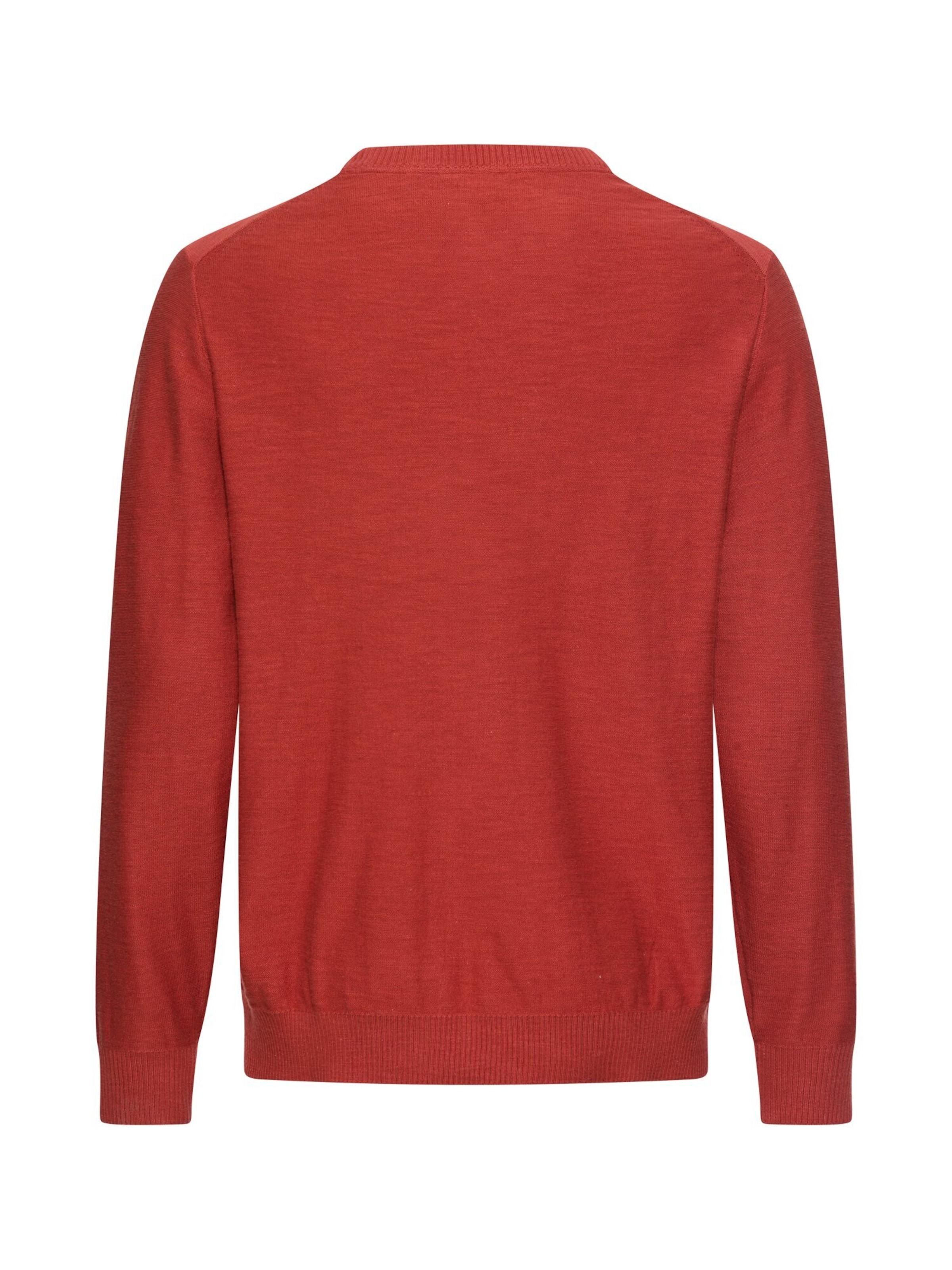 CAMEL ACTIVE Strickpullover aus reiner Baumwolle in Rot