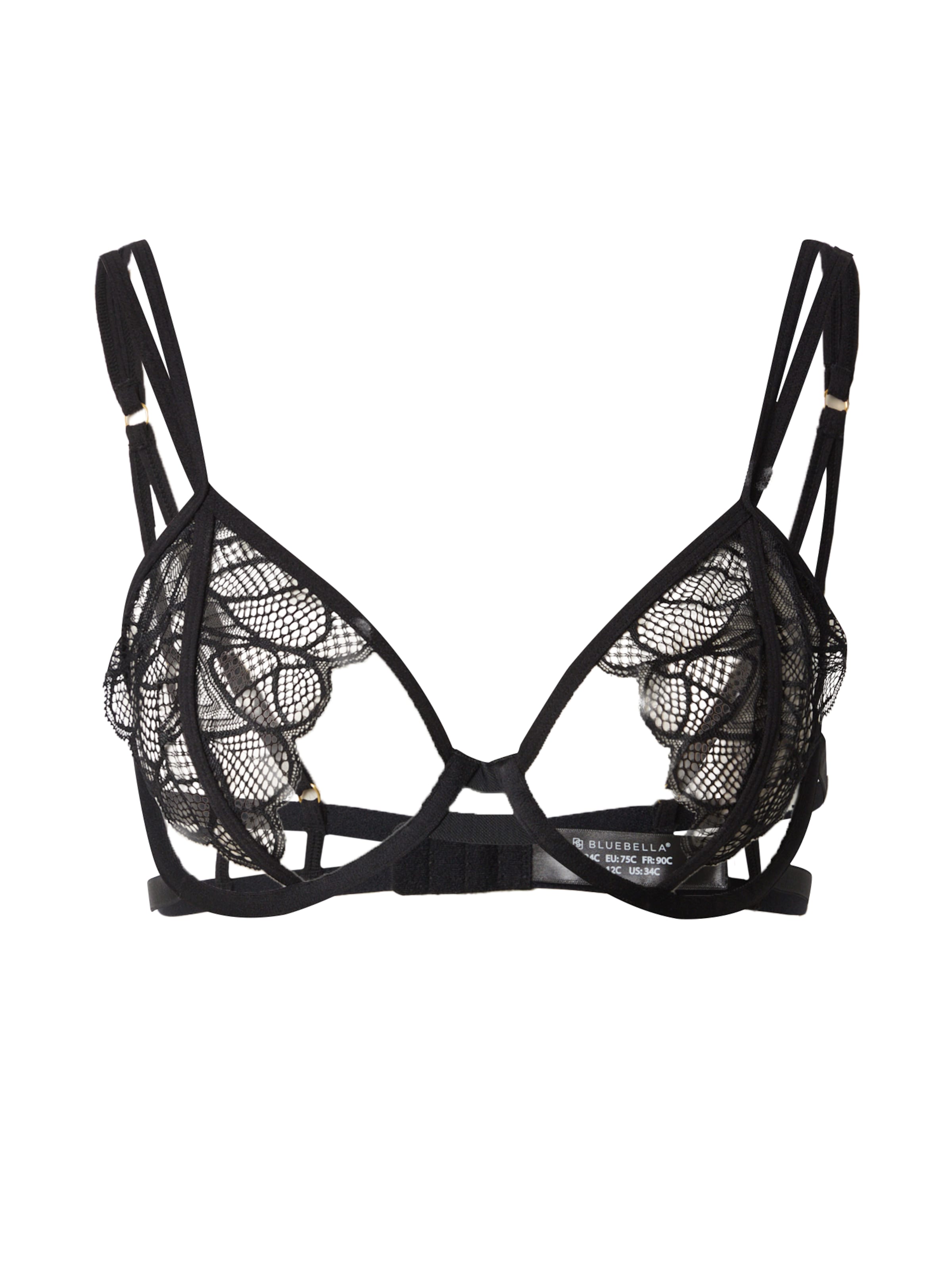 melns Bluebella Krūšturis 'Emerson': no priekšpuses