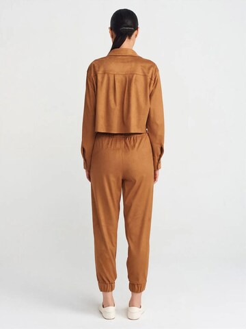 Dilvin Tapered Hose in Braun