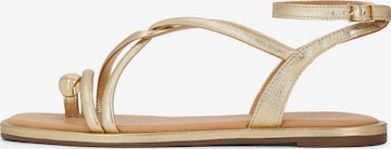 auksinė Kazar Basutės su dirželiais: priekis