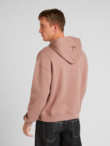 HOLLISTER Sweatshirt i brun