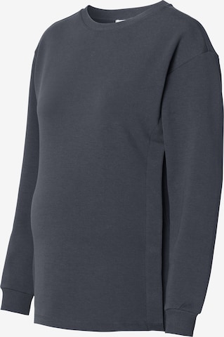 Noppies Pullover 'Pinson' in Grau