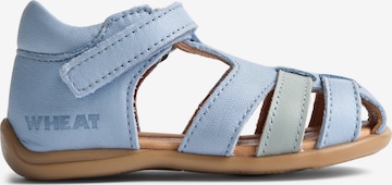 Sandales 'Robbie' WHEAT en bleu : devant
