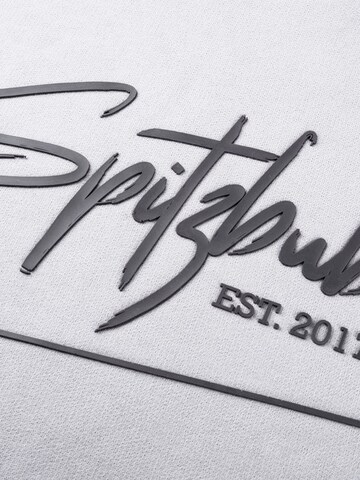 SPITZBUB Sweatshirt 'Raised-Street' in Grijs