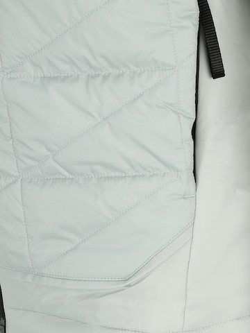 ADIDAS TERREX Outdoorjacke in Silber