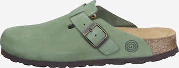 DR. BRINKMANN Clogs 'Nerpio' in Green: front
