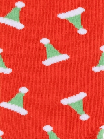 Chaussettes 'Christmas Season' DillySocks en mélange de couleurs