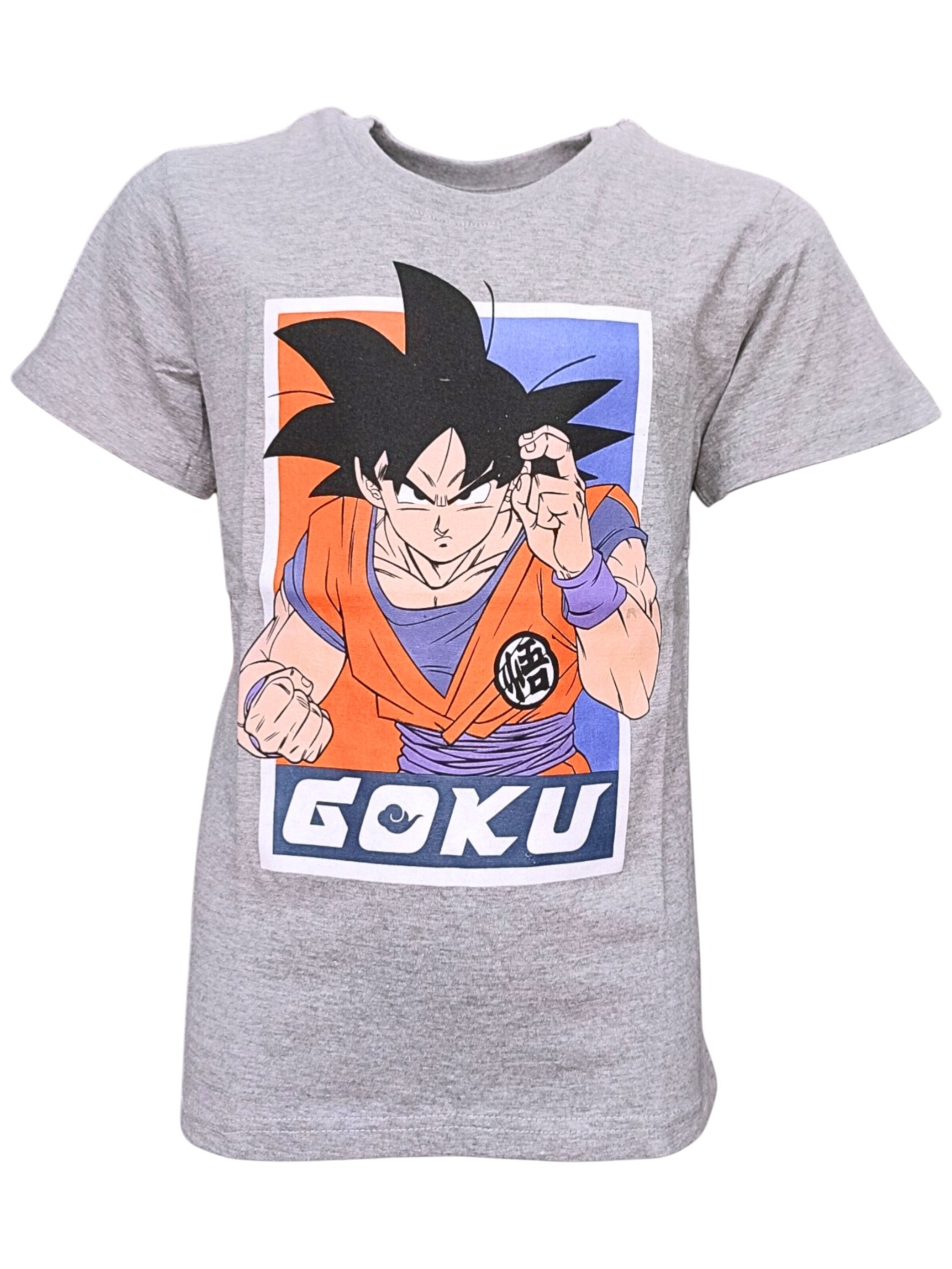 Dragon Ball Shirt 'Dragon Ball' in Grey: front