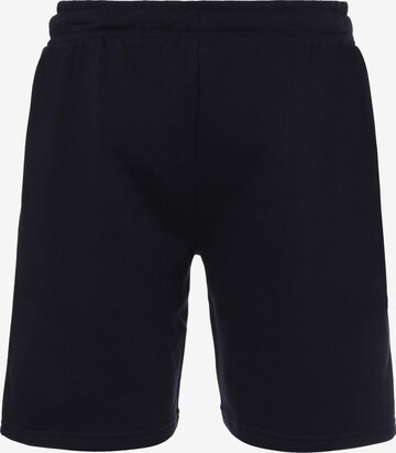 ELLESSE Loosefit Broek 'Dodici' in Blauw