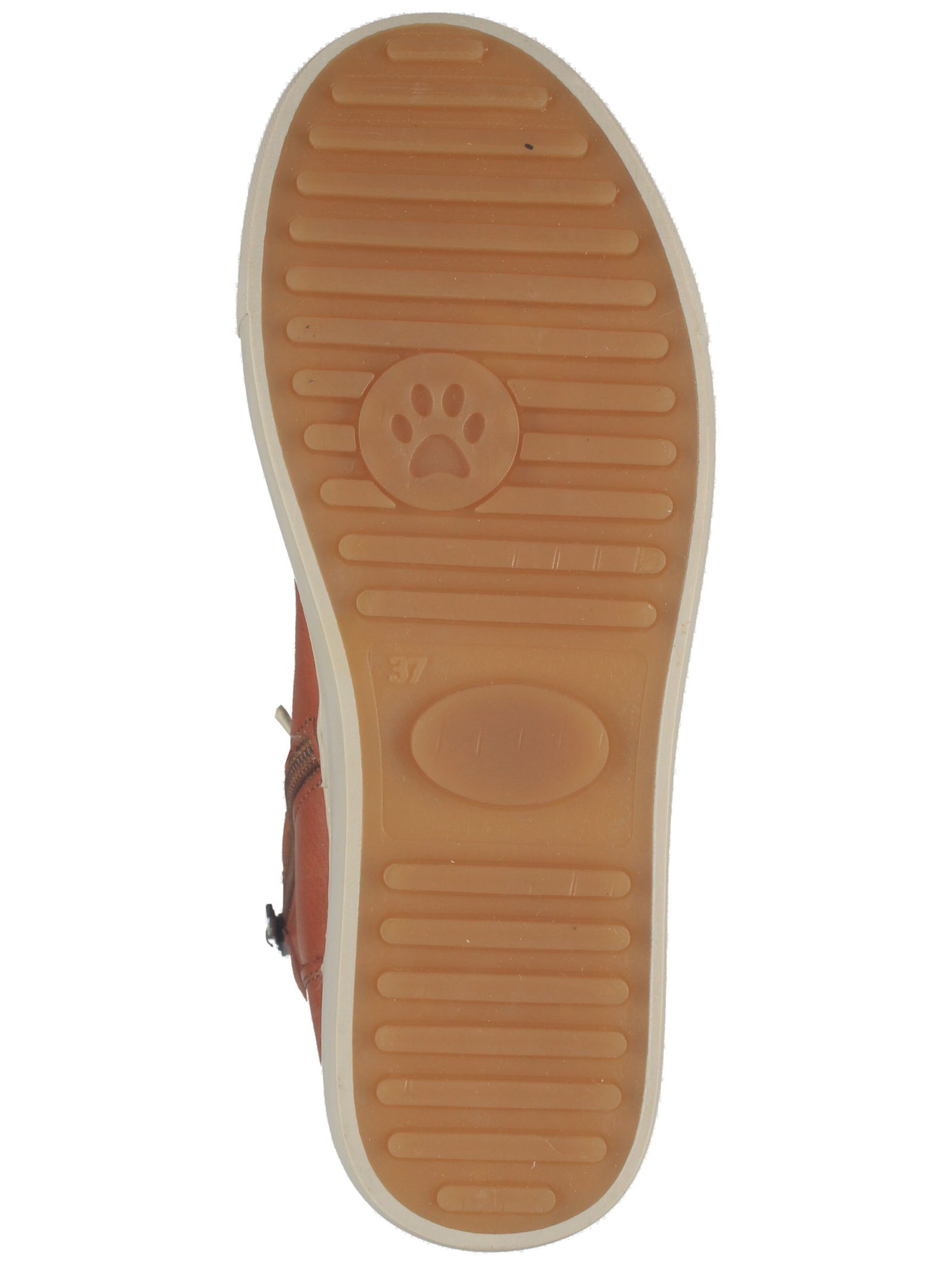 HUSH PUPPIES High-top trainers in Brown