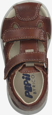 Pepino Sandals & Slippers 'KASPI' in Brown