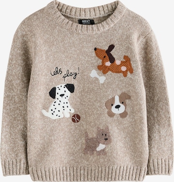 ruda Next Megztinis: priekis