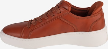 Baskets basses 'Court Break - Suit' SKECHERS en marron : devant