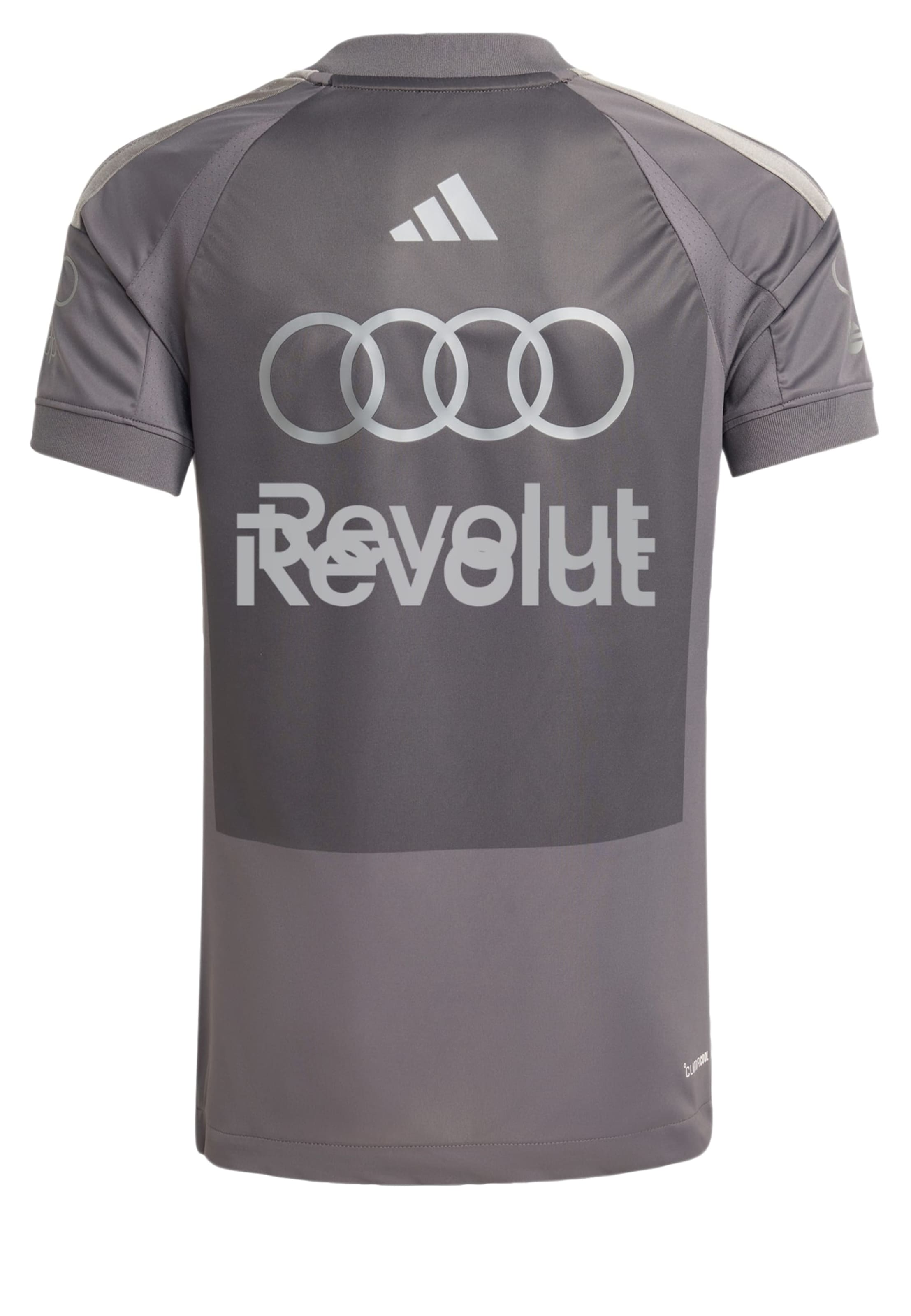 T-Shirt fonctionnel 'Audi Formula One Team Driver' ADIDAS PERFORMANCE en gris