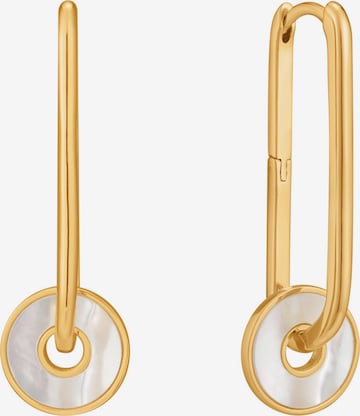 ANIA HAIE Earrings in Gold: front