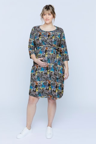 Ulla Popken Dress in Mixed colors: front