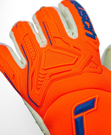 REUSCH Athletic Gloves 'Attrakt Freegel SpeedBump' in Orange