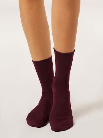 CALZEDONIA Socks in Red