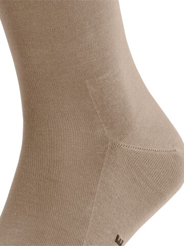 FALKE Socken 'Tiago'‌‌‌‌ in Beige