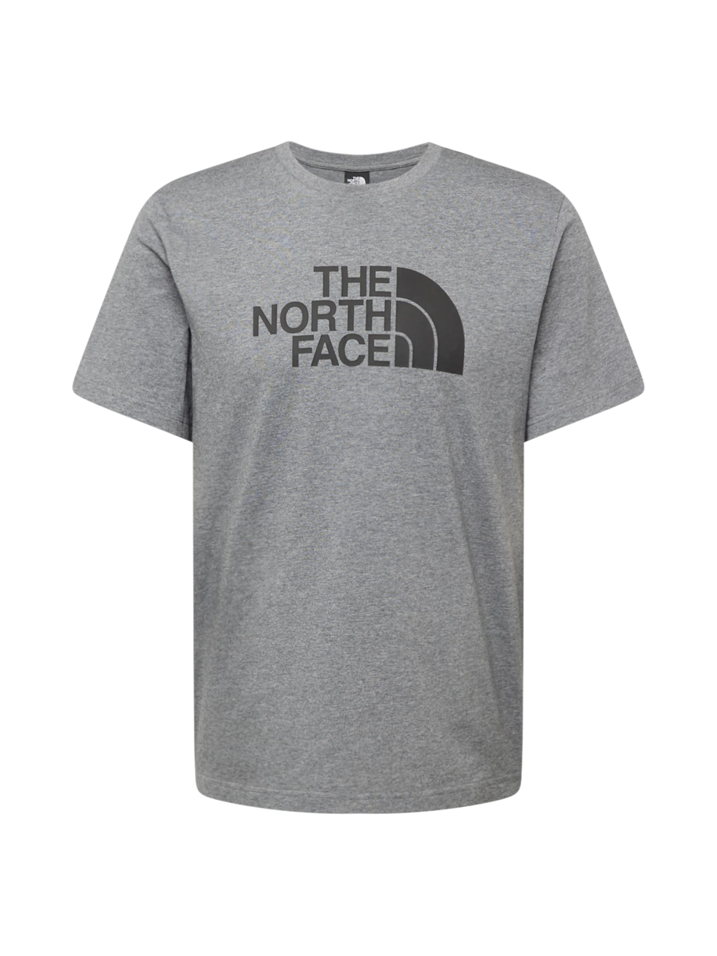 THE NORTH FACE Μπλουζάκι &#x27;Easy&#x27; σε γκρι: μπροστά