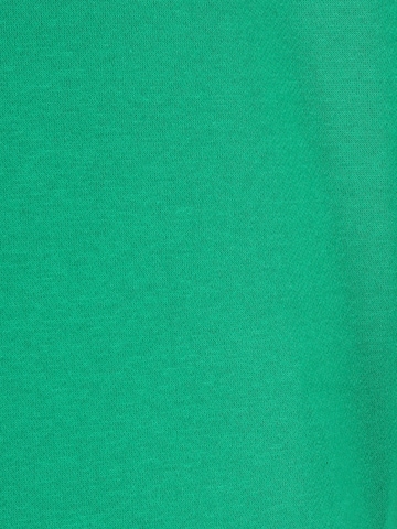 Tommy Hilfiger Big & Tall Sweatshirt in Green