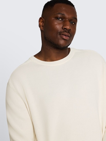 TOM TAILOR Men + Pullover in Weiß