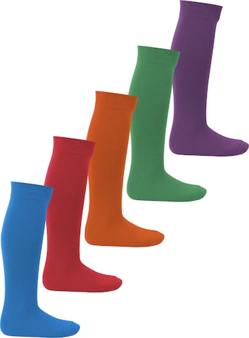 footstar Socks 'EVERYDAY!' in Blue: front