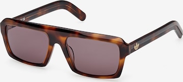 Occhiali da sole di ADIDAS ORIGINALS in marrone: frontale