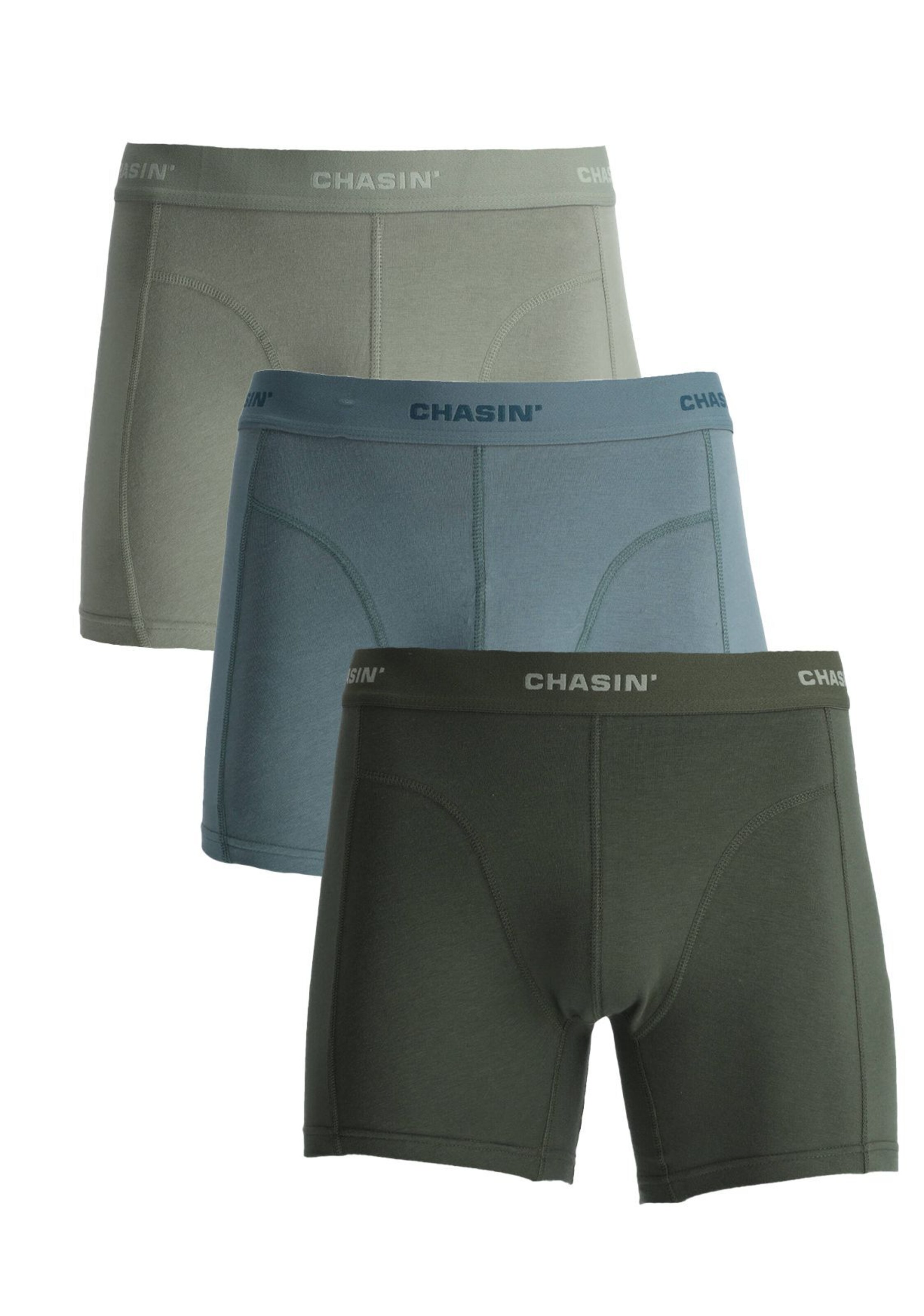 CHASIN' Boxer shorts 'Thrice' in Blue / Green, Item view