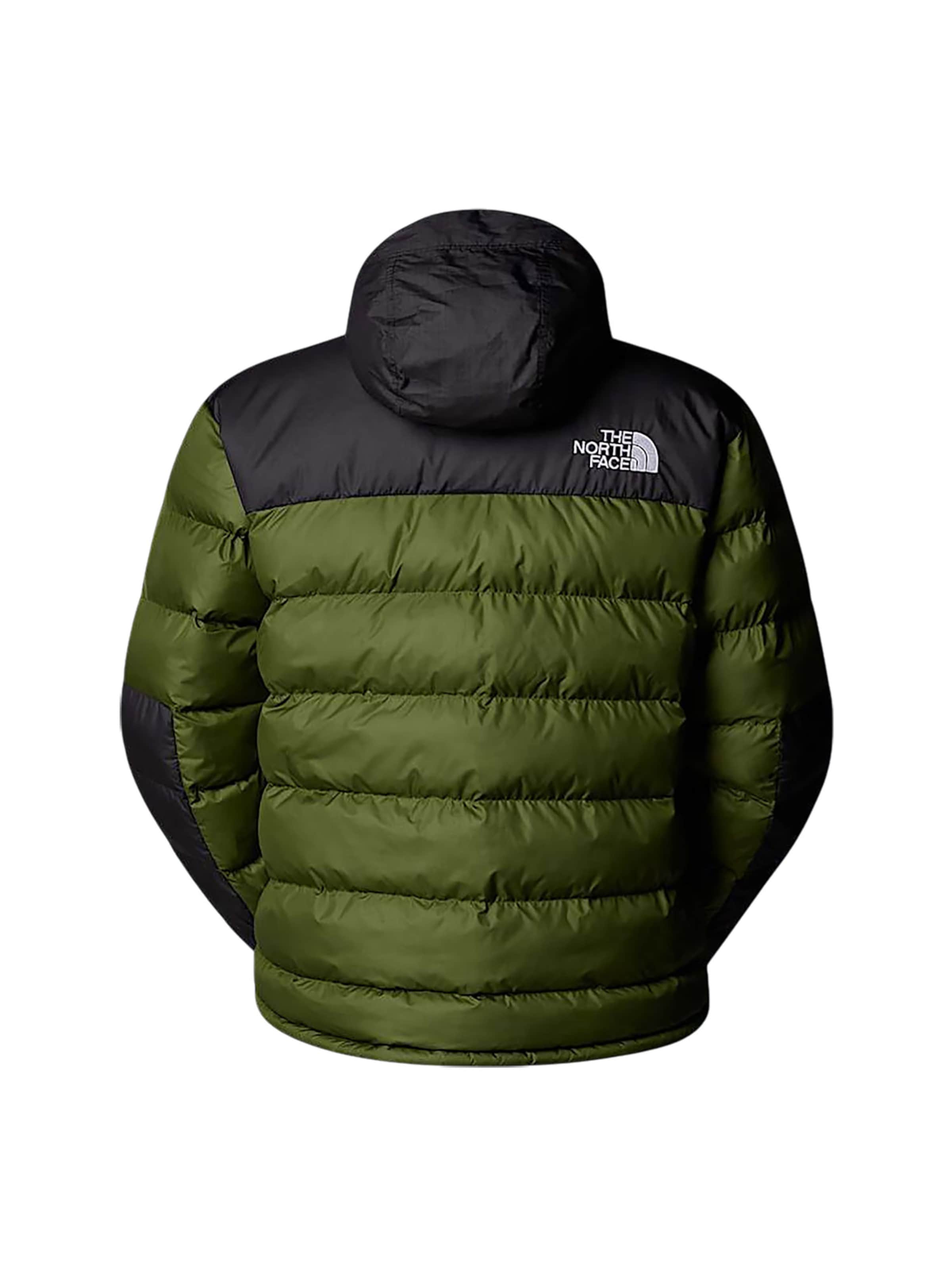 THE NORTH FACE Winter Jacket 'Limbara' in Green
