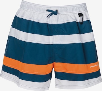 wavebreaker Board Shorts in Blue: front