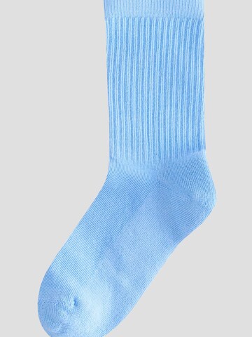 Chaussettes Next en mélange de couleurs
