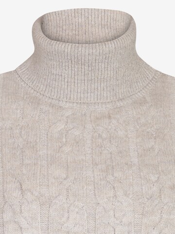 DENIM CULTURE Sweater in Beige