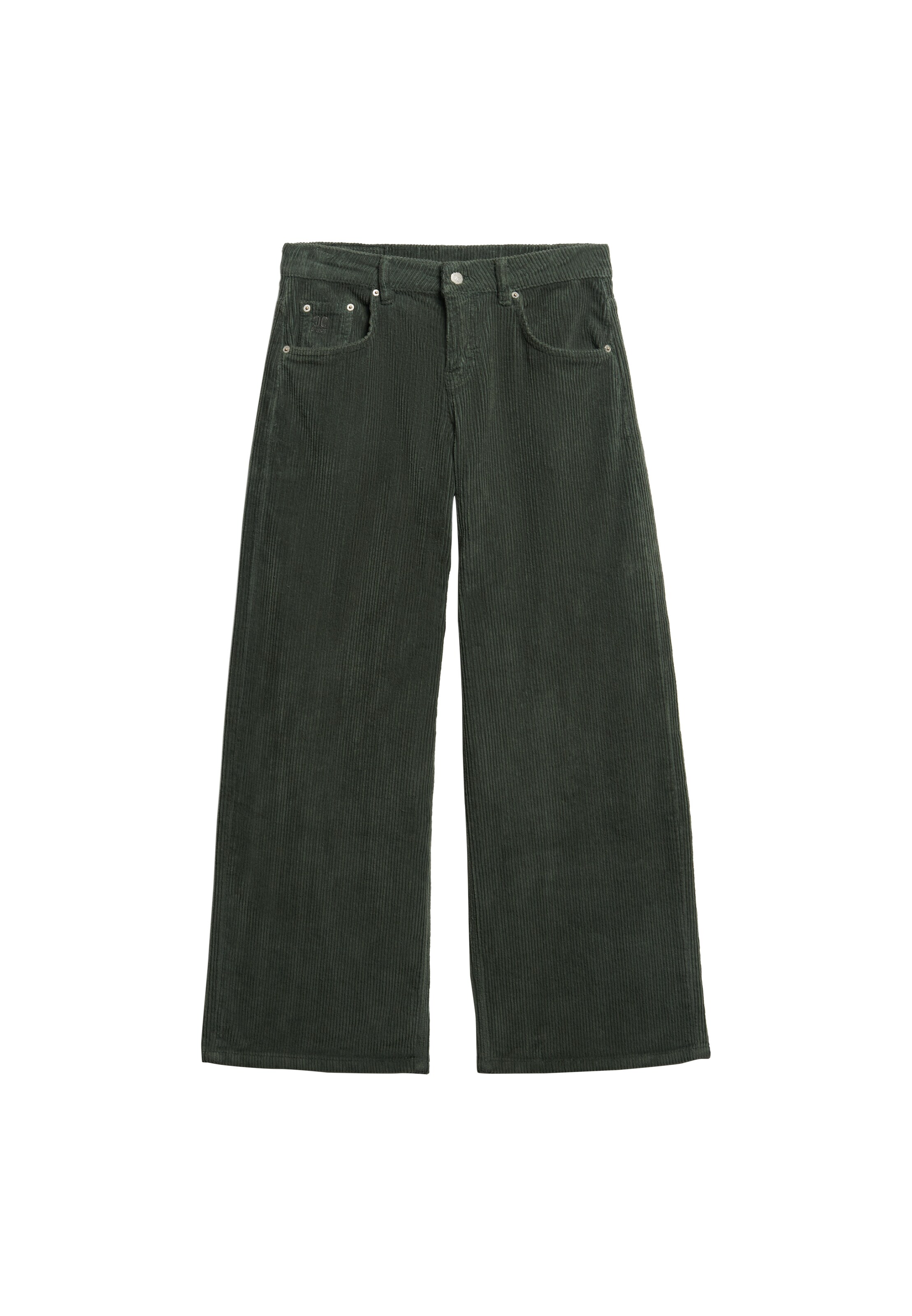 Baggy Pantalon 'Jumbo' Superdry & Co en vert : devant