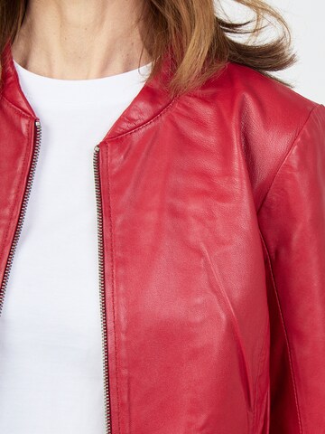 JCC Tussenjas in Rood