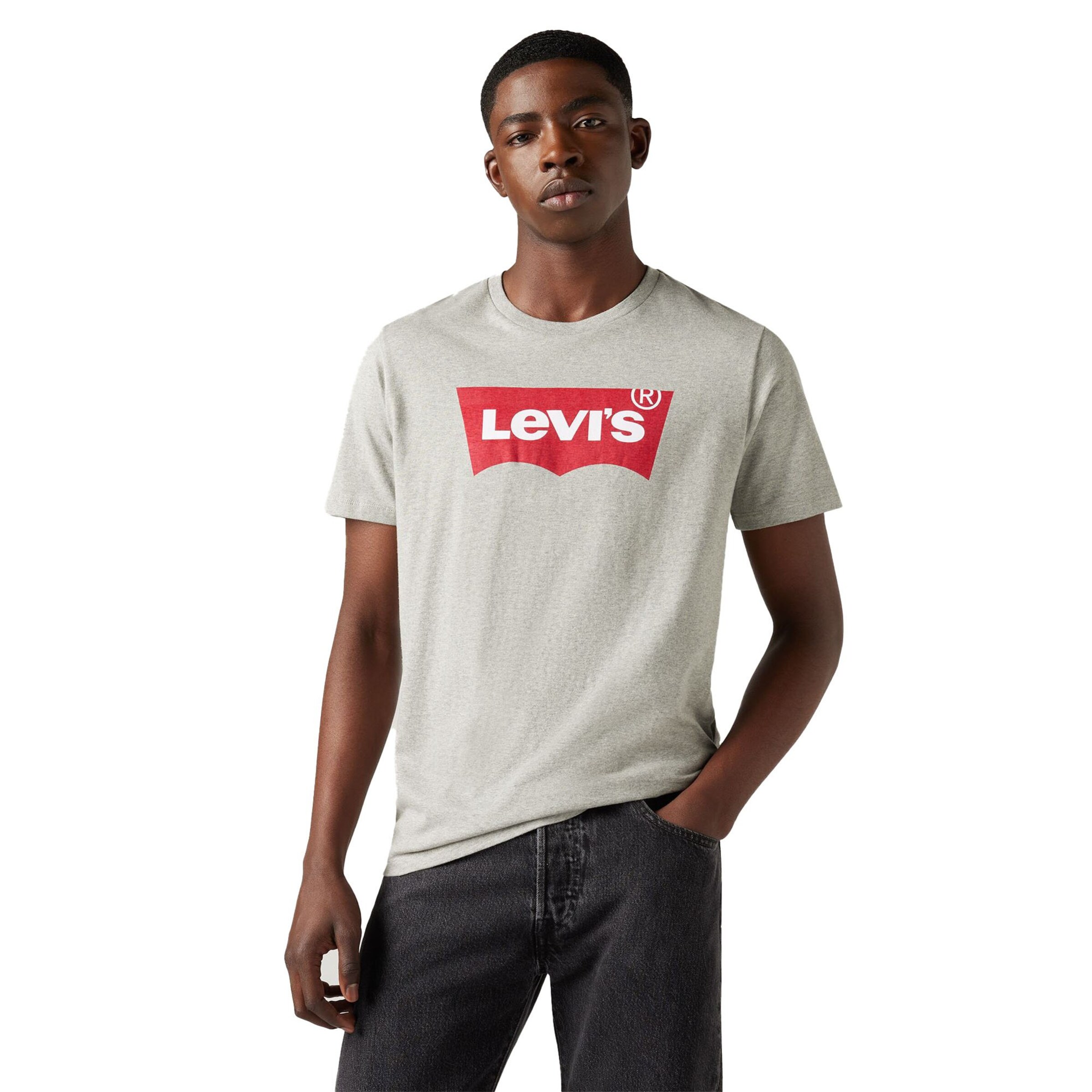 LEVI'S ® Shirt in Grey