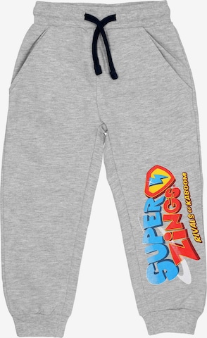 Super Zigs Regular Pants in Grey: front