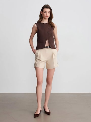 Dilvin Regular Pants in Beige