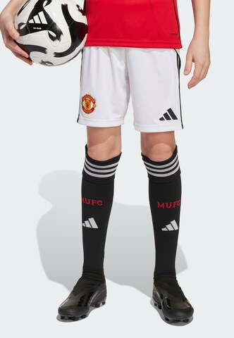 ADIDAS PERFORMANCE Regular Sportshorts 'Manchester United 25/26' in Weiß: Vorderseite