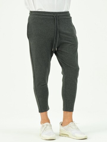 C&City Tapered Pants in Grey