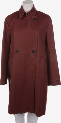 Mulberry Jacket & Coat in XXL in Brown: front