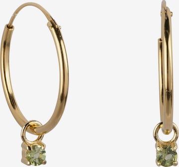 Ana Dyla Earrings in Gold: front