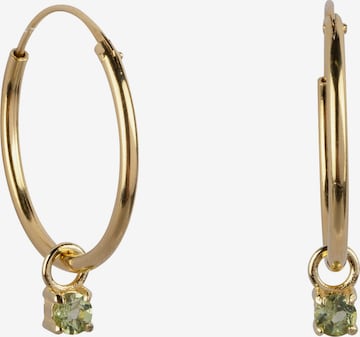 Ana Dyla Ohrringe in Gold: front