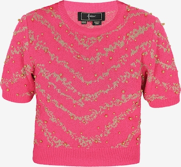 faina Trui in Roze: voorkant