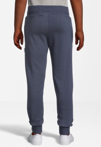 New Life Tapered Trousers in Blue