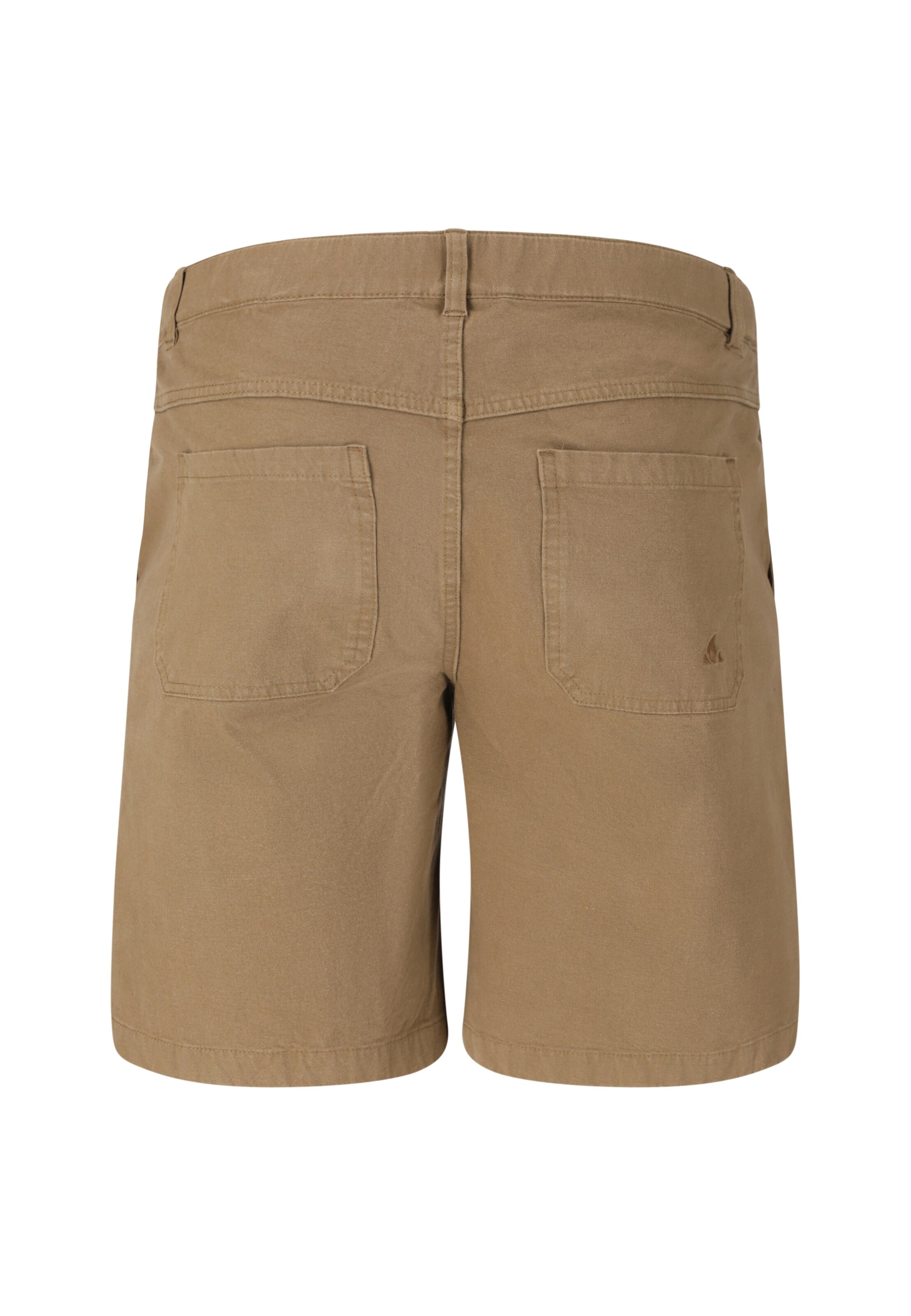 Whistler Regular Sports trousers 'Levanger' in Brown
