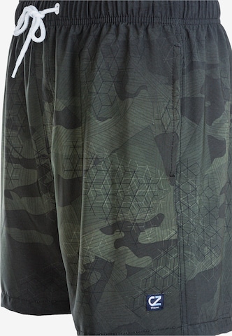 Cruz Boardshorts 'Quinland' in Groen