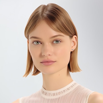 Boucles d'oreilles Lucardi en argent : devant